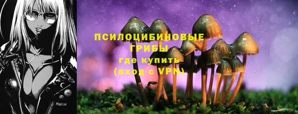 амф Арсеньев